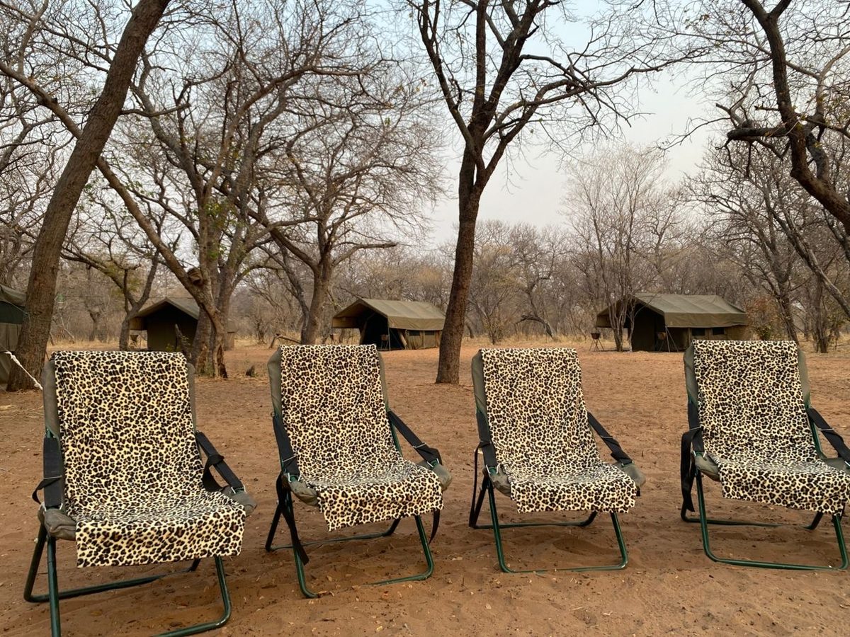 Mobile Safaris