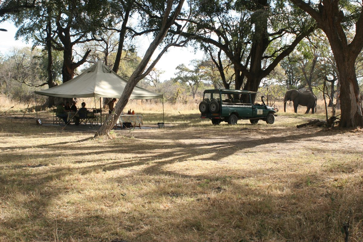 Mobile Safaris