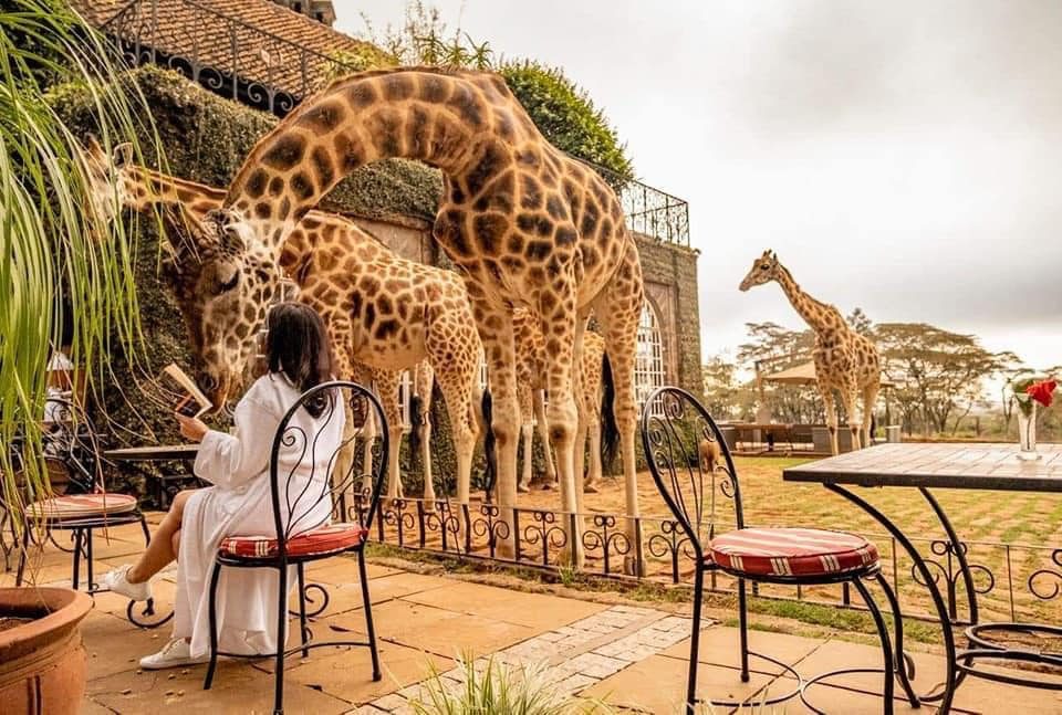 Giraffe manor