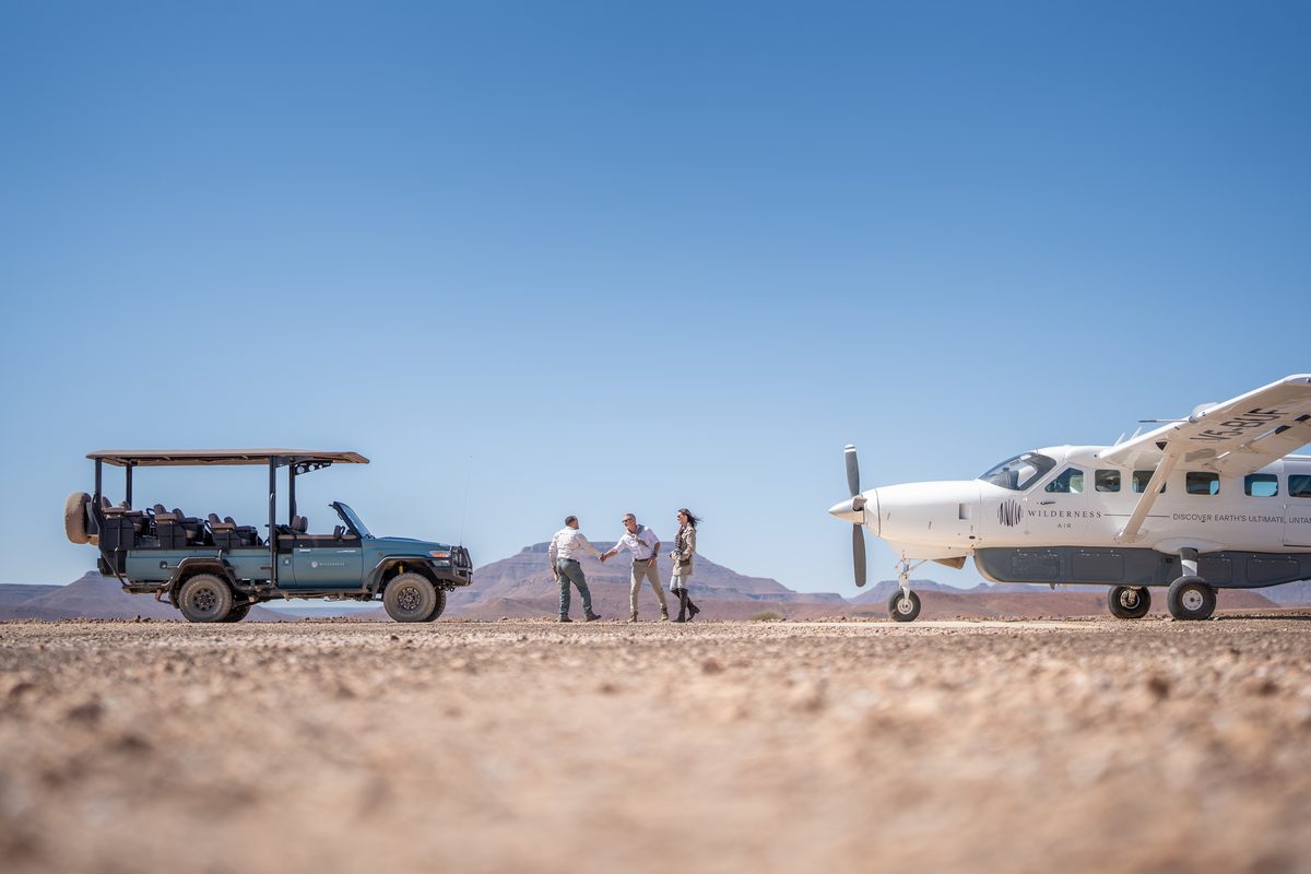 Desert Rhino