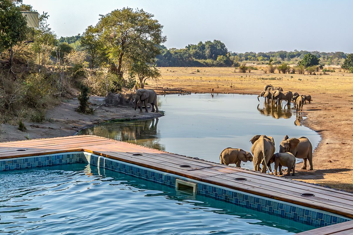 Kavinga Safari Camp
