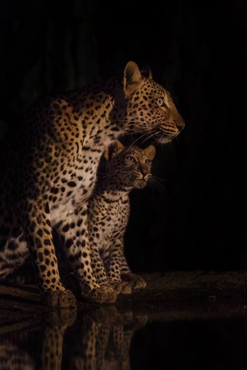 Kavinga Safari Camp
