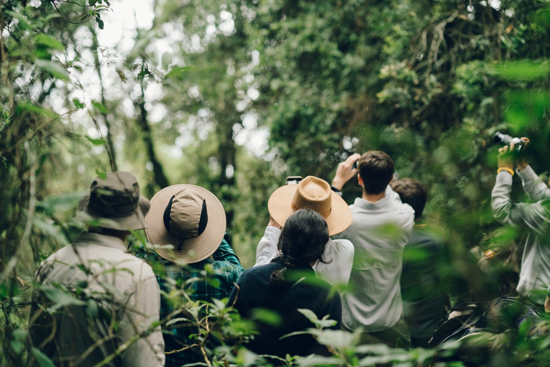 Safari in Uganda